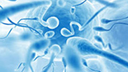 infertilita maschile spermiogramma